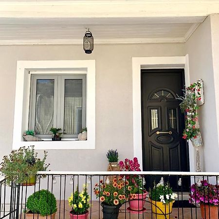 Leo'S City Apartment Лефкада Экстерьер фото
